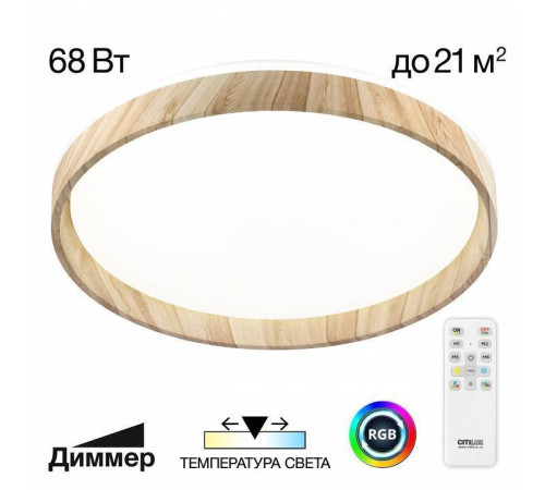 Накладной светильник Citilux ENZO CL753452G