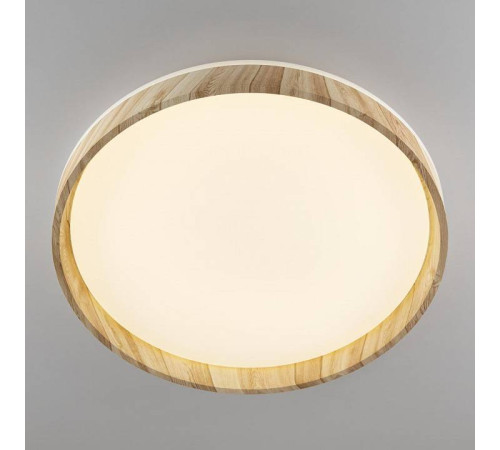 Накладной светильник Citilux ENZO CL753452G