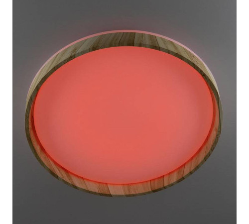 Накладной светильник Citilux ENZO CL753452G