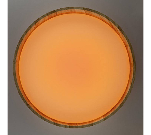 Накладной светильник Citilux ENZO CL753452G