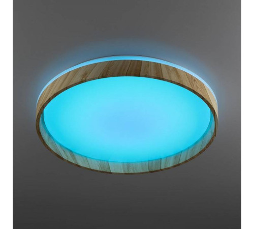 Накладной светильник Citilux ENZO CL753452G