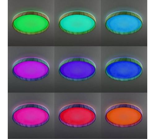 Накладной светильник Citilux ENZO CL753452G