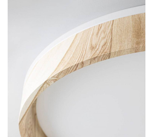 Накладной светильник Citilux ENZO CL753452G