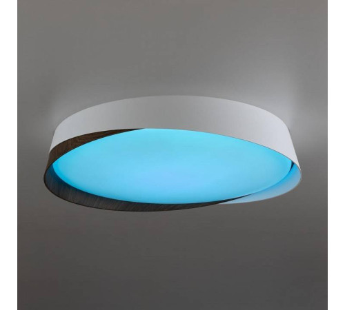 Накладной светильник Citilux BONNY CL754350G