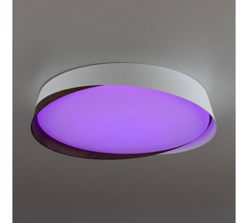 Накладной светильник Citilux BONNY CL754350G