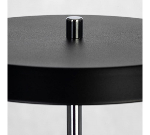 Настольная лампа декоративная Citilux LINA CL812011