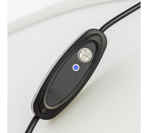 Настольная лампа декоративная Citilux LINA CL812012