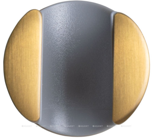 Держатель для душа Allen Brau Priority латунь брашированное золото 5.31С15-GB