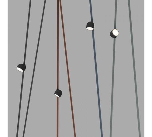 Накладной светильник Denkirs BELTY SPOT DK5542-BK