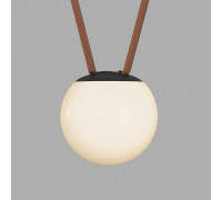 Накладной светильник Denkirs BELTY ORB DK5551-BK