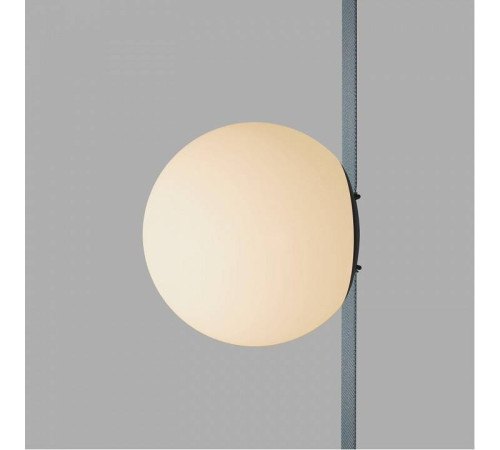 Накладной светильник Denkirs BELTY ORB DK5551-BK