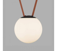 Накладной светильник Denkirs BELTY ORB DK5553-BK