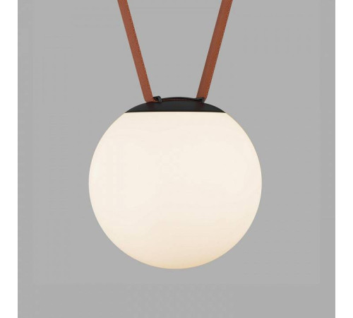 Накладной светильник Denkirs BELTY ORB DK5553-BK
