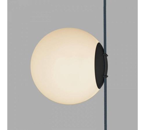 Накладной светильник Denkirs BELTY ORB DK5553-BK