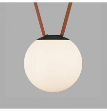 Накладной светильник Denkirs BELTY ORB DK5553-BK