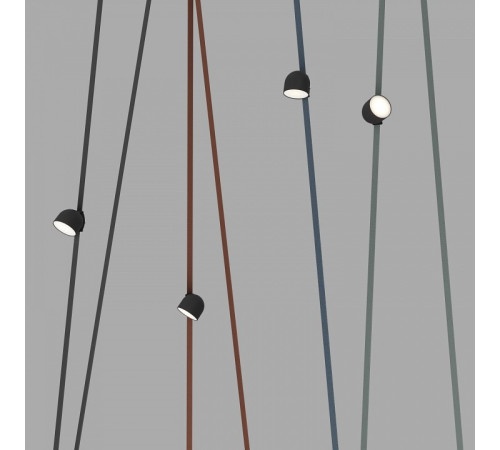 Накладной светильник Denkirs Belty Spot DK5642-BK