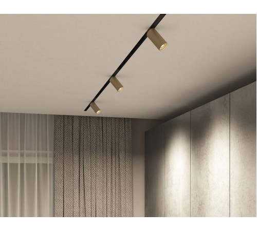 Светильник на штанге Denkirs Smart DK8010-BG