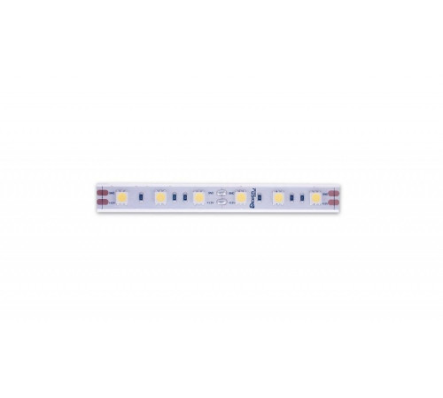 Лента светодиодная DesignLed DSG560 14.4 Вт/м 12 В IP65 00-00000518
