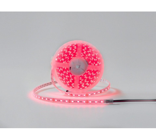Лента светодиодная DesignLed DSG560 00-00001489