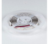 Лента светодиодная DesignLed DSG2252 00-00001493