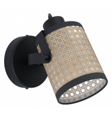 Спот Eglo ПРОМО Ruscomb 43493