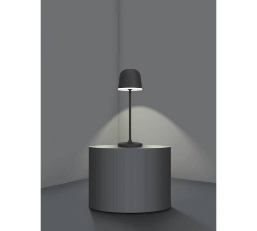 Настольная лампа декоративная Eglo ПРОМО Mannera 900457