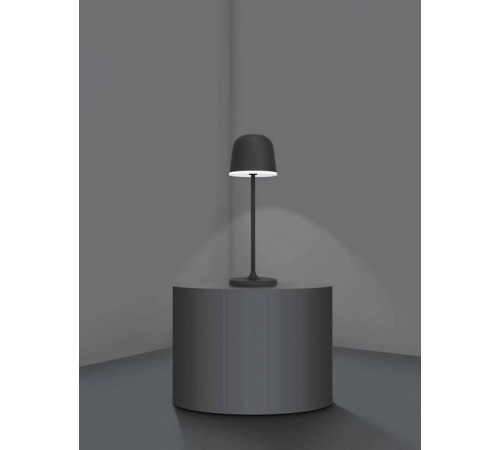 Настольная лампа декоративная Eglo ПРОМО Mannera 900457