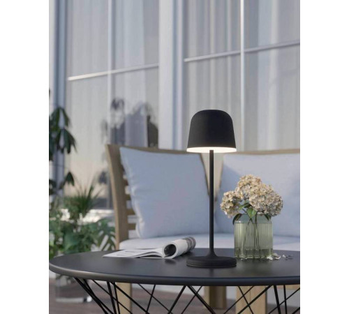 Настольная лампа декоративная Eglo ПРОМО Mannera 900457