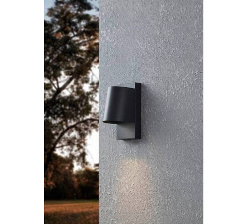 Светильник на штанге Eglo Stagnone 900691