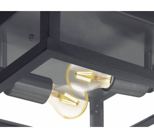 Накладной светильник Eglo Alamonte 1 94832