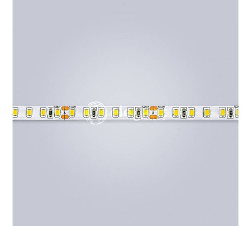Лента светодиодная Eleganz LUX EL-24V-96N