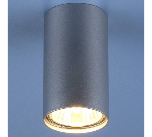 Накладной светильник Elektrostandard 1081 a037714