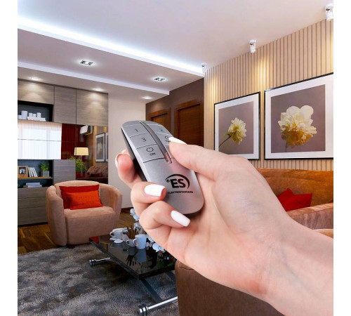 Пульт ДУ Elektrostandard Y a042748