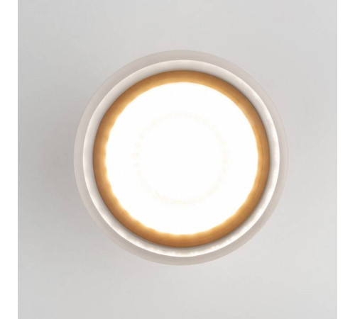 Накладной светильник Elektrostandard Light LED a057160