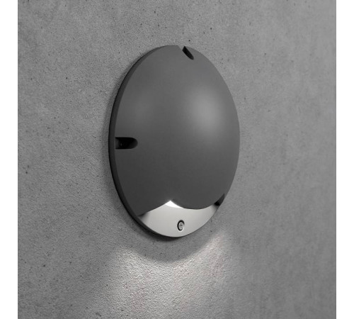 Накладной светильник Elektrostandard Park a065926