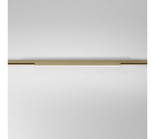 Накладной светильник Elektrostandard 85526/01