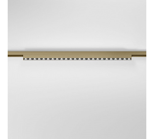 Накладной светильник Elektrostandard 85529/01