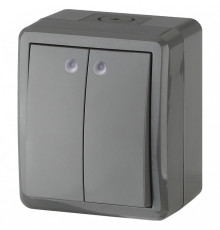 Выключатель двухклавишный с подсветкой Эра Эра Эксперт 11-1405-03