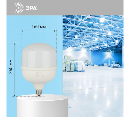 Лампа светодиодная Эра Стандарт LED POWER T160-100W-6500-E27/E40
