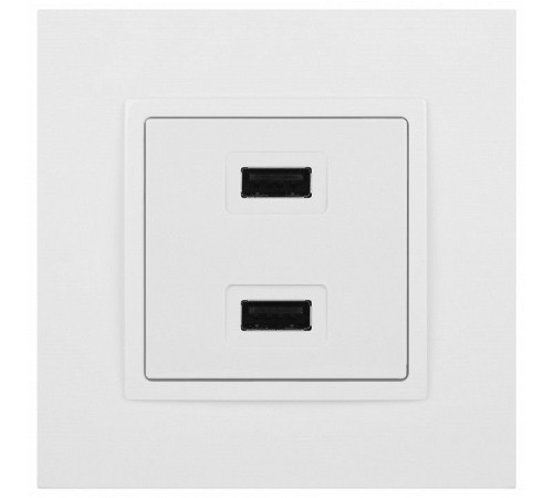 Розетка 2хUSB type A без рамки Эра Эра Elegance 14-4110-01