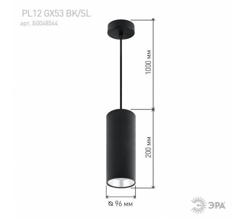 Подвесной светильник Эра PL12 GX53 BK/SL