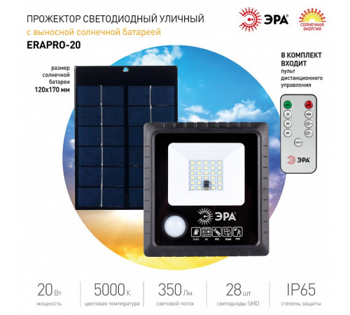 Настенно-потолочный прожектор Эра ERAPRO-20