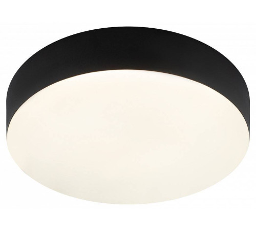 Накладной светильник Эра Relict Relict 22 SPB-6-20 4К BK