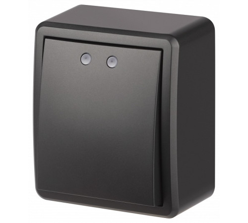 Выключатель одноклавишный с подсветкой Эра Эра Эксперт 11-1202-05