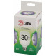 Лампа светодиодная ЭРА Green Line POWER T70 30 Вт 6500 K E27 LED POWER T70-30W-865-E27 GL