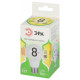 Лампа светодиодная Эра Green Line LED A60-8W-830-E27 GL