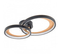 Накладной светильник Escada Callisto 10265/2LED