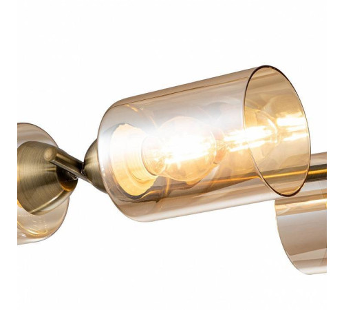 Люстра на штанге Escada Bungarus 1110/6P Bronze