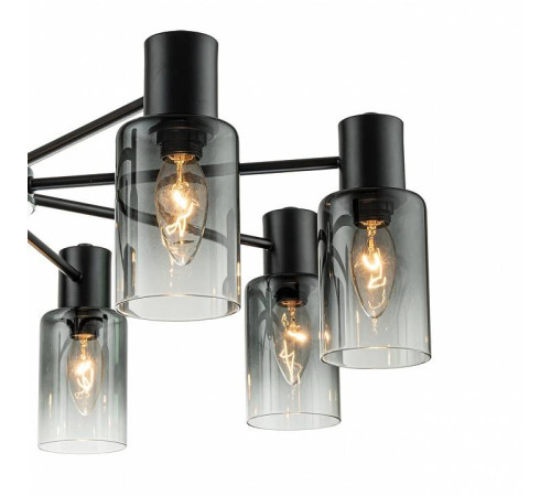 Люстра на штанге Escada Diversity 2120/8P Black