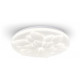 Накладной светильник Escada POLLY 472/PL LED
